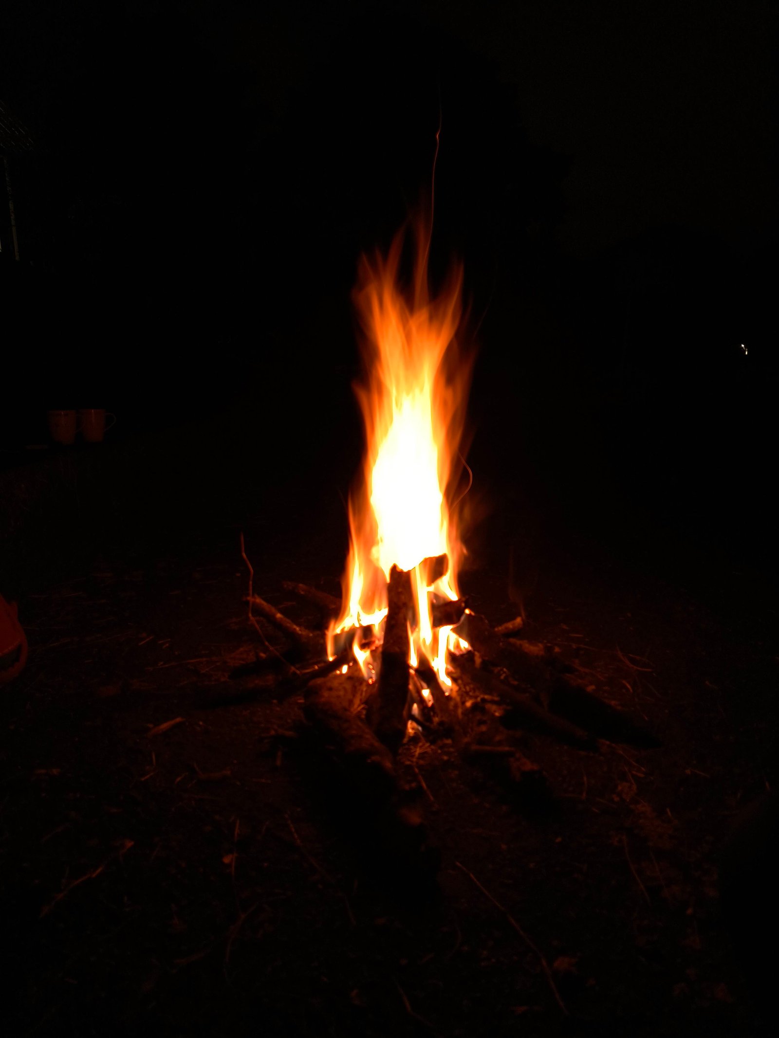Instalaciones del campamento 10